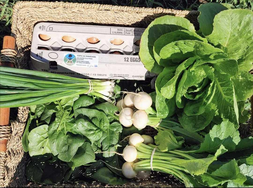 Abonnement aux paniers de légumes écologiques (printemps, 4 semaines)