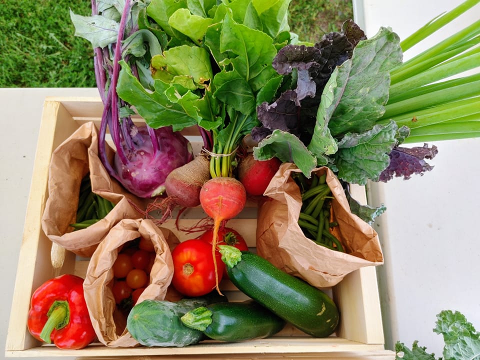 Abonnement aux paniers de légumes écologiques (été, 16 semaines)