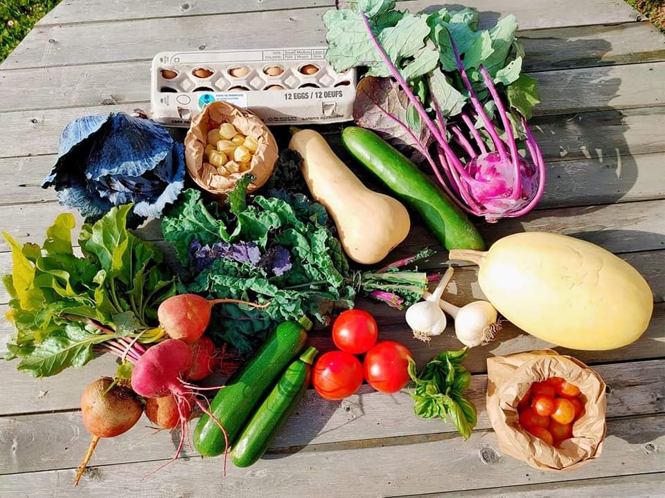 Abonnement aux paniers de légumes écologiques (été, 16 semaines)